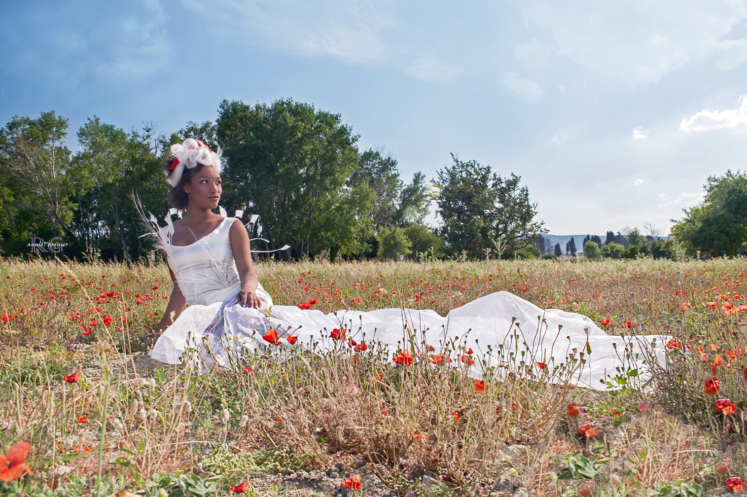 Coquelicots06