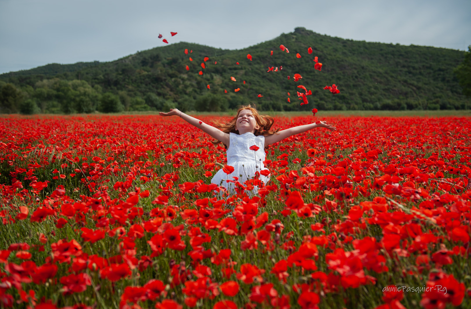 LEANA-coquelicots-18pfolio.