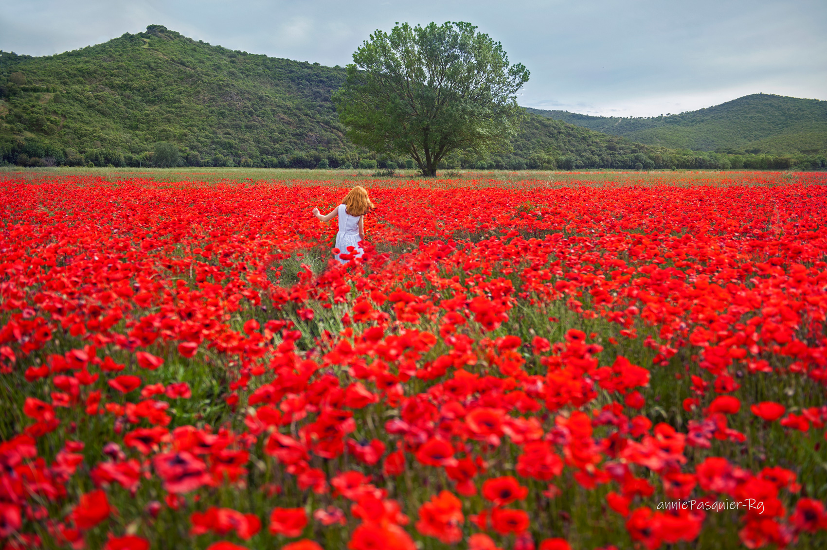 LEANA-coquelicots37pfolio.